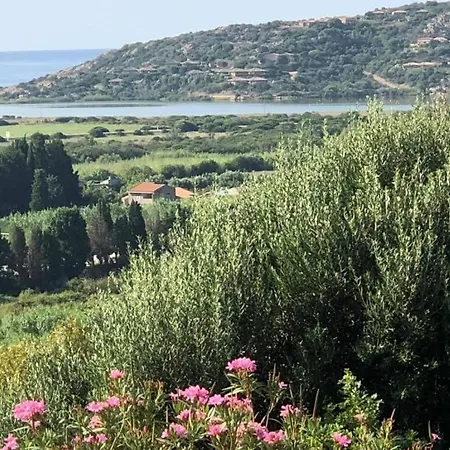 Dom wakacyjny Private Pool With Panoramic Views Split Over 2 Levels / Aircon / New Pool. Chia